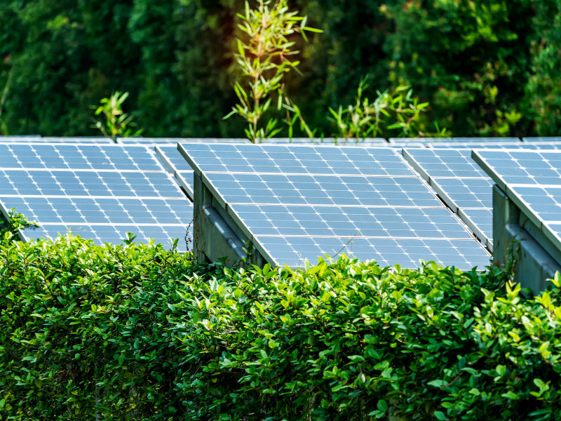 energia solar e sustentabilidade como obter