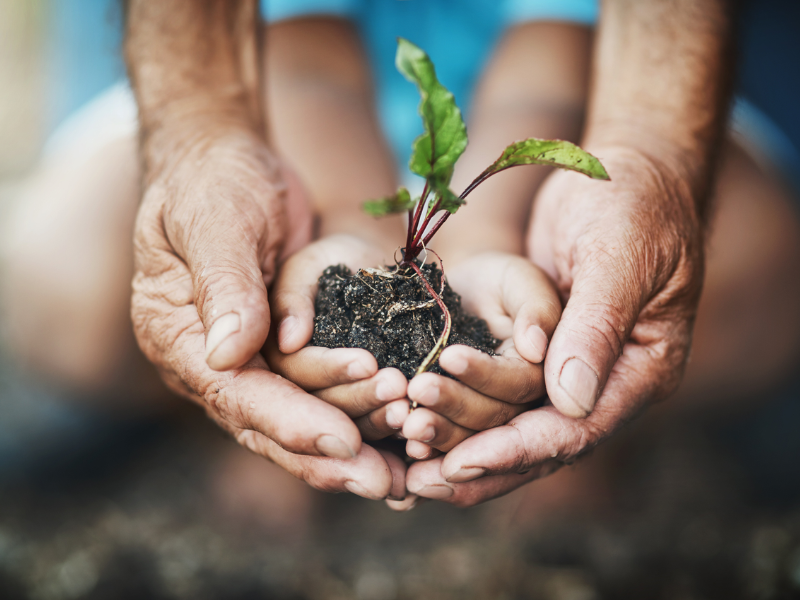 o que é eficiência energética e gestão da energia e qual o impacto sustentável